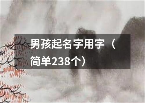 男孩起名字用字（简单238个）