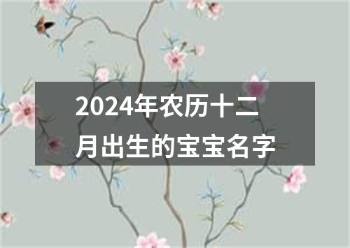 2024年农历十二月出生的宝宝名字