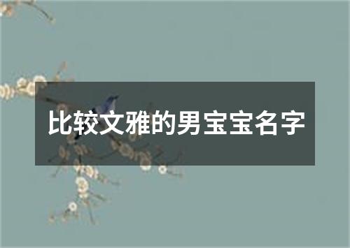 比较文雅的男宝宝名字