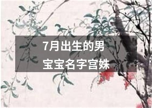 7月出生的男宝宝名字宫姝