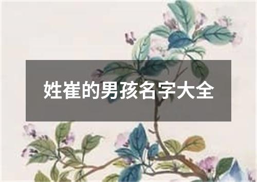 姓崔的男孩名字大全