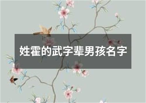 姓霍的武字辈男孩名字