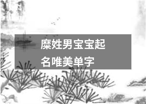 糜姓男宝宝起名唯美单字