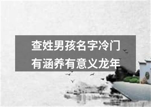 查姓男孩名字冷门有涵养有意义龙年