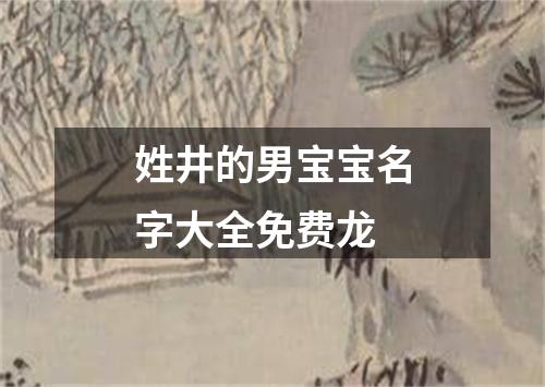 姓井的男宝宝名字大全免费龙