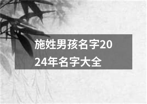 施姓男孩名字2024年名字大全