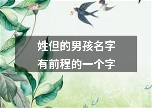 姓但的男孩名字有前程的一个字