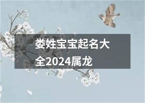 娄姓宝宝起名大全2024属龙