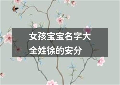 女孩宝宝名字大全姓徐的安分