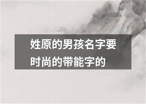 姓原的男孩名字要时尚的带能字的