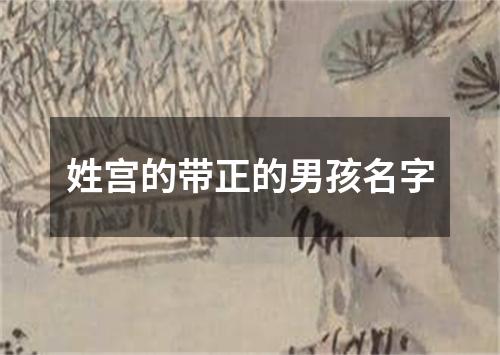 姓宫的带正的男孩名字