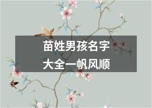 苗姓男孩名字大全一帆风顺