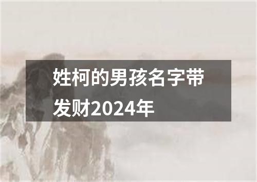 姓柯的男孩名字带发财2024年