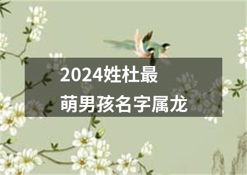 2024姓杜最萌男孩名字属龙