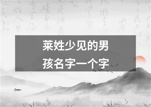 莱姓少见的男孩名字一个字