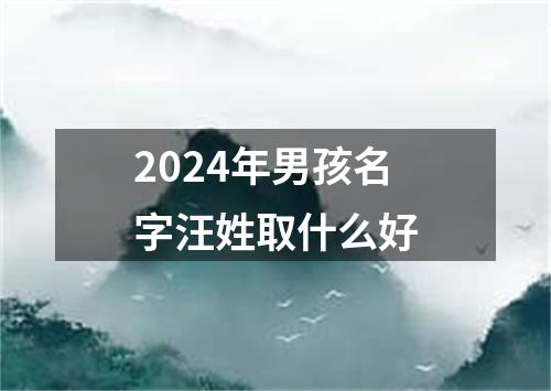 2024年男孩名字汪姓取什么好