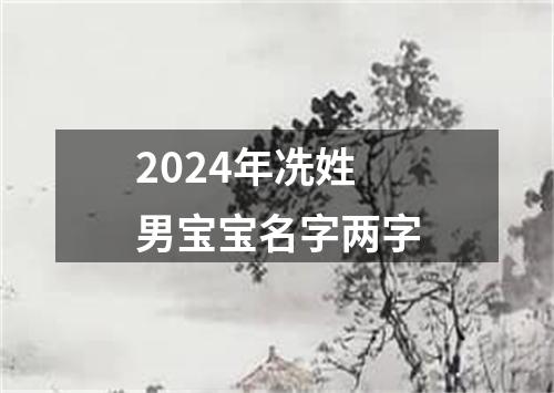 2024年冼姓男宝宝名字两字