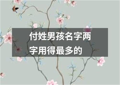 付姓男孩名字两字用得最多的