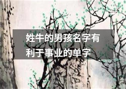 姓牛的男孩名字有利于事业的单字