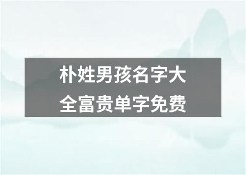 朴姓男孩名字大全富贵单字免费