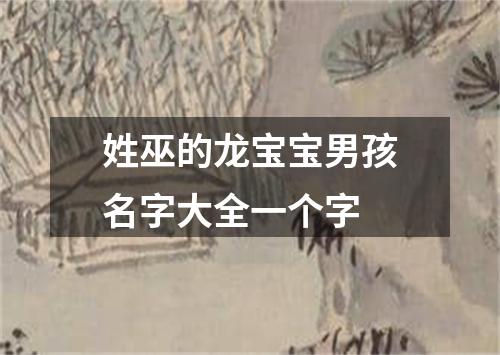 姓巫的龙宝宝男孩名字大全一个字