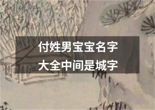 付姓男宝宝名字大全中间是城字