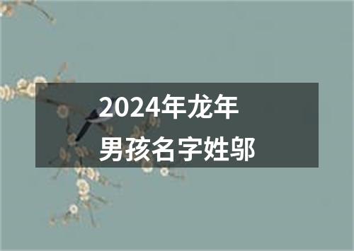 2024年龙年男孩名字姓邬