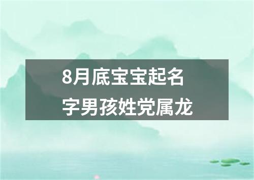 8月底宝宝起名字男孩姓党属龙