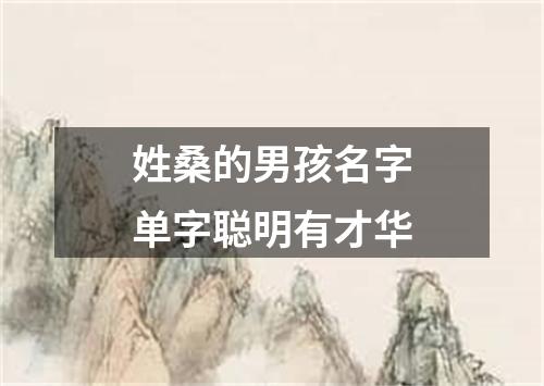 姓桑的男孩名字单字聪明有才华