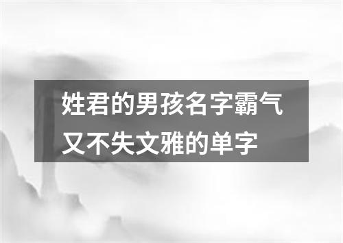 姓君的男孩名字霸气又不失文雅的单字