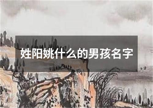 姓阳姚什么的男孩名字