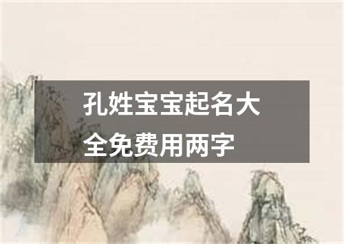 孔姓宝宝起名大全免费用两字