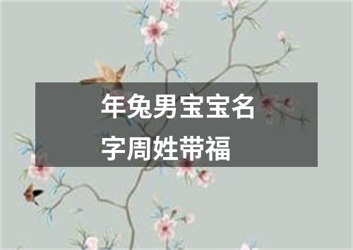 年兔男宝宝名字周姓带福