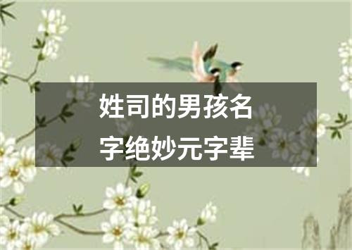 姓司的男孩名字绝妙元字辈