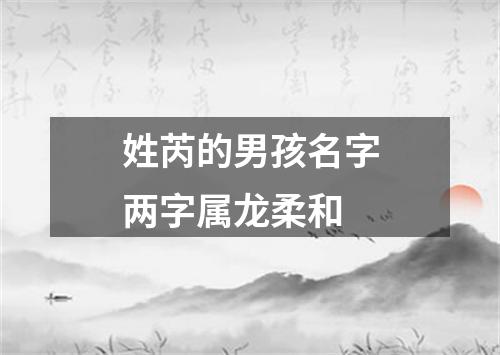 姓芮的男孩名字两字属龙柔和