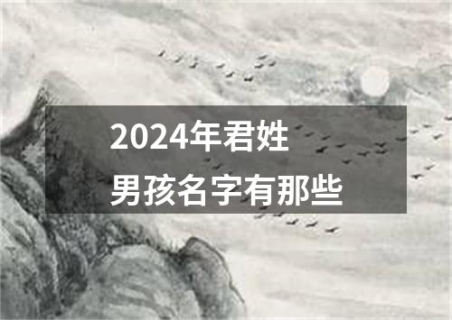 2024年君姓男孩名字有那些