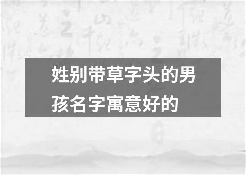 姓别带草字头的男孩名字寓意好的