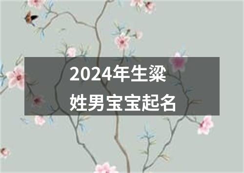 2024年生粱姓男宝宝起名