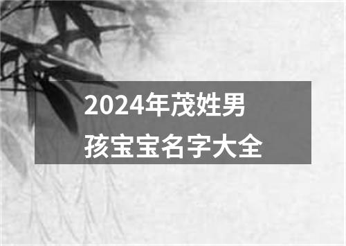 2024年茂姓男孩宝宝名字大全