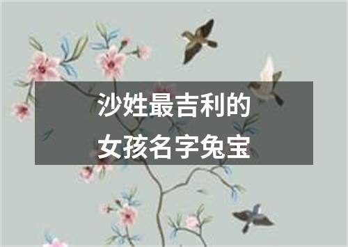 沙姓最吉利的女孩名字兔宝