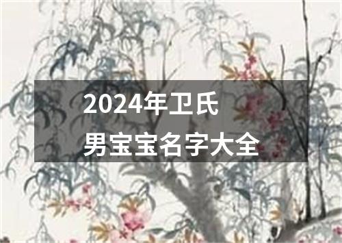 2024年卫氏男宝宝名字大全