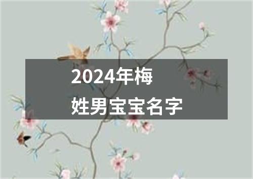 2024年梅姓男宝宝名字