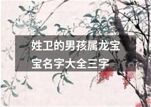 姓卫的男孩属龙宝宝名字大全三字