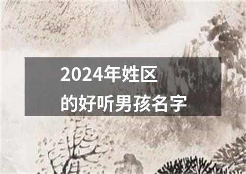 2024年姓区的好听男孩名字