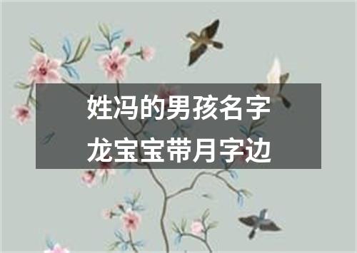 姓冯的男孩名字龙宝宝带月字边