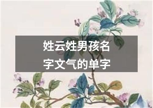 姓云姓男孩名字文气的单字