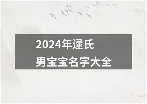 2024年逯氏男宝宝名字大全