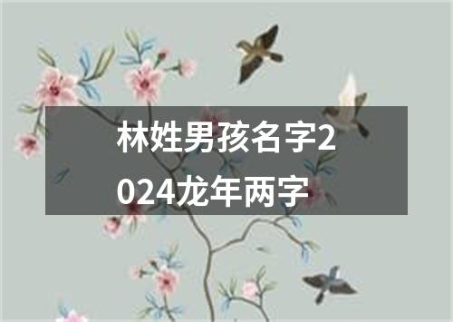 林姓男孩名字2024龙年两字