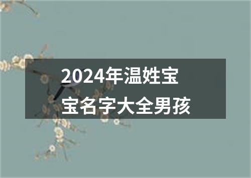 2024年温姓宝宝名字大全男孩