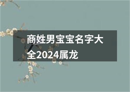 商姓男宝宝名字大全2024属龙